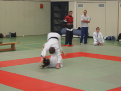 HAWE-Judo-Coup 2005
HAWE-Judo-Coup 2005
HAWE-Judo-Coup-2005 - 28