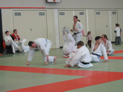 HAWE-Judo-Coup 2005
HAWE-Judo-Coup 2005
HAWE-Judo-Coup-2005 - 7