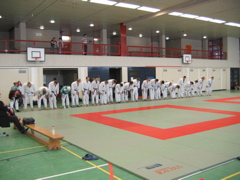 HAWE-Judo-Coup 2005
HAWE-Judo-Coup 2005
HAWE-Judo-Coup-2005 - 14