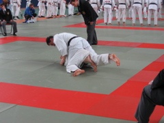 Randori-Team-Cup - 15