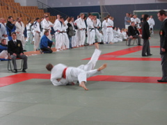 Randori-Team-Cup - 8